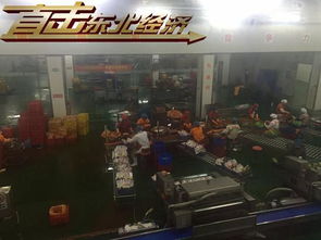 直擊東北經濟 吉林延邊多舉措助力綠色崛起