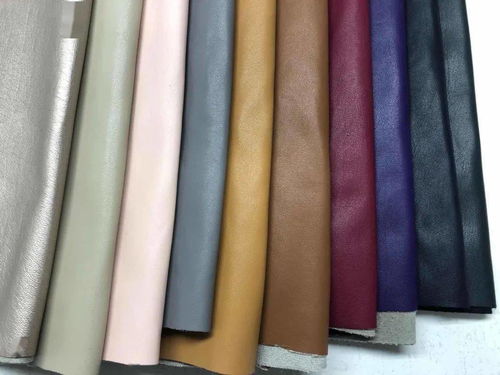 intertextile秋冬面輔料展 內(nèi)衣面膜料版塊興起，功能升級(jí)引領(lǐng)潮流